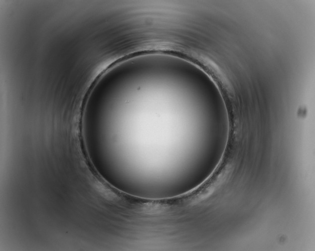 X0000102791081200808181254