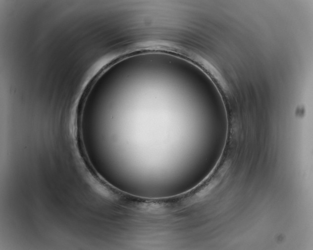 X0000102791082200808181254