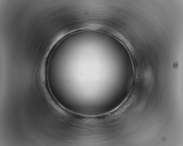 X0000102791083200808181254