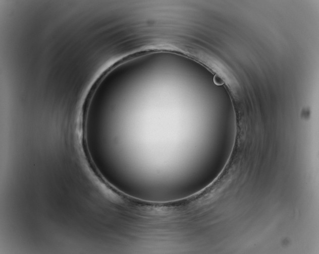 X0000102791084200808181254