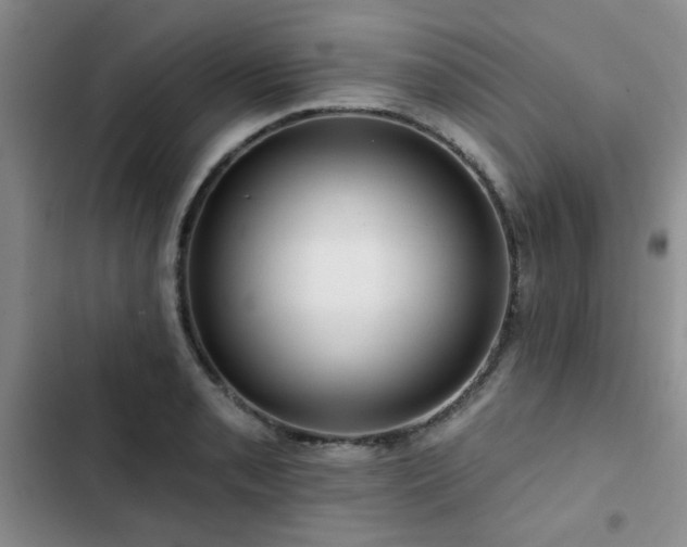 X0000102791085200808181254