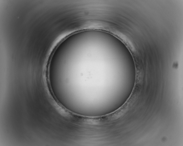 X0000102791086200808181254