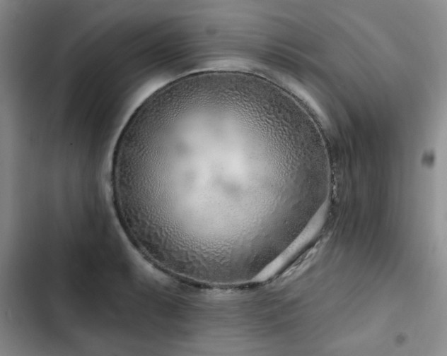 X0000102791087200808181254