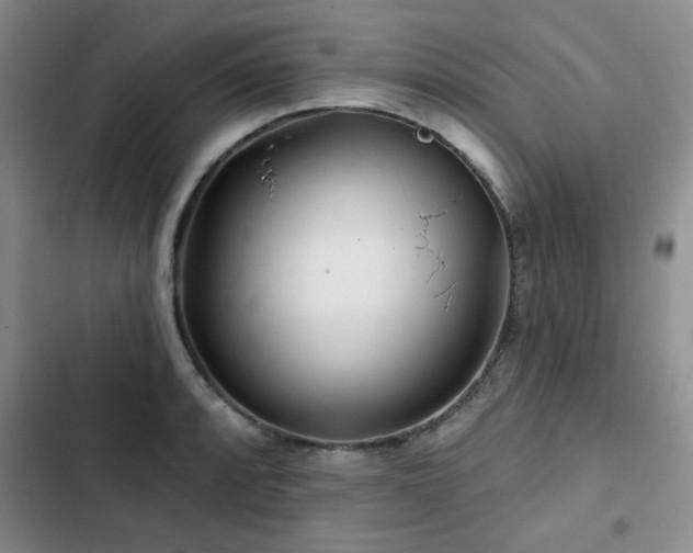 X0000102791088200808181254