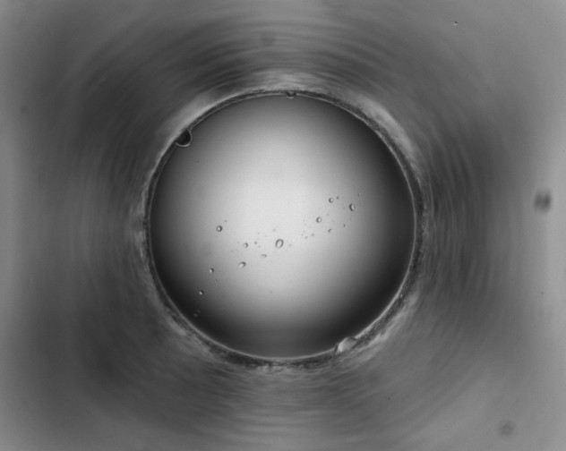 X0000102791089200808181254