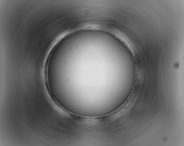X0000102791090200808181254