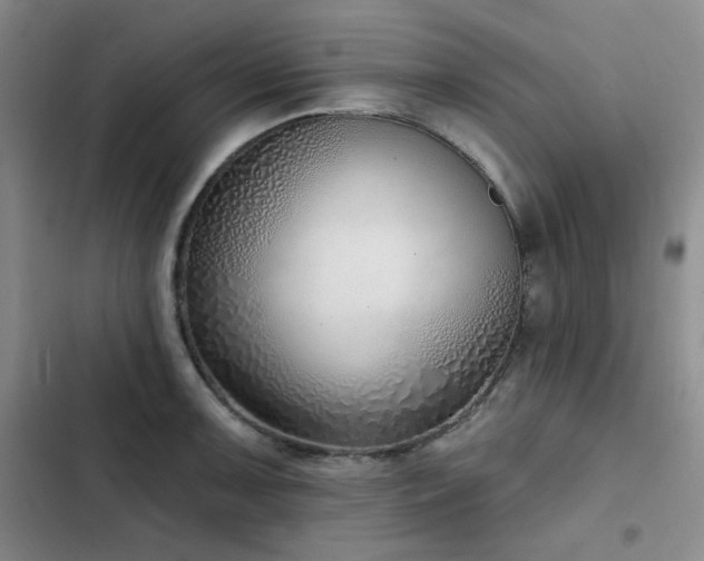 X0000102791091200808181254