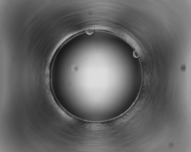 X0000102791092200808181254