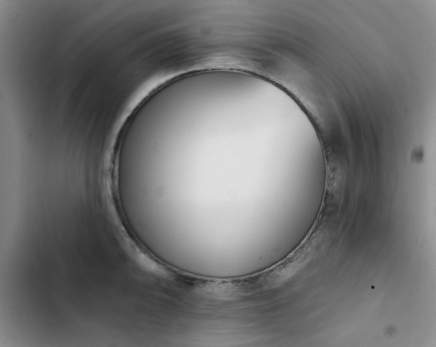 X0000102791094200808181254