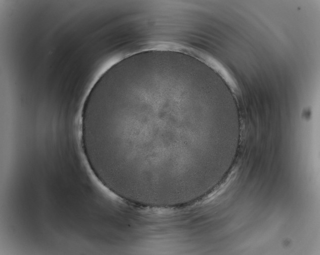 X0000102791095200808181254