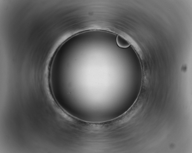 X0000102791096200808181254