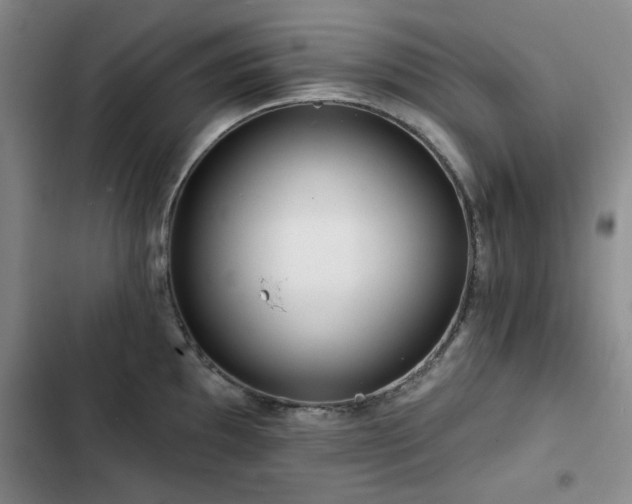 X0000102791097200808181254