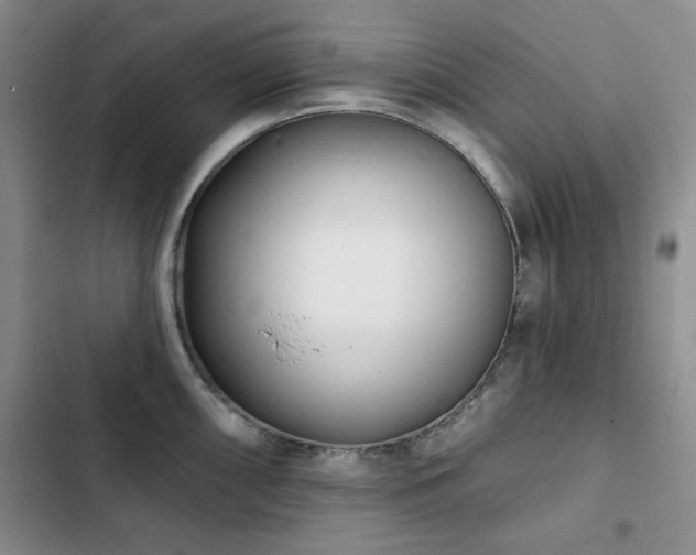 X0000102791098200808181254