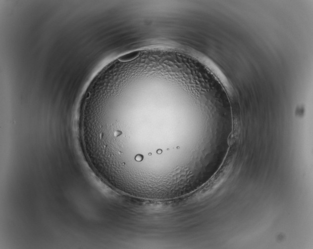 X0000102791099200808181254