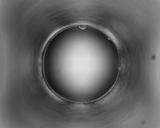 X0000102791100200808181254
