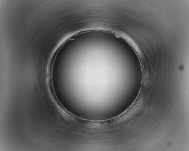 X0000102791101200808181254