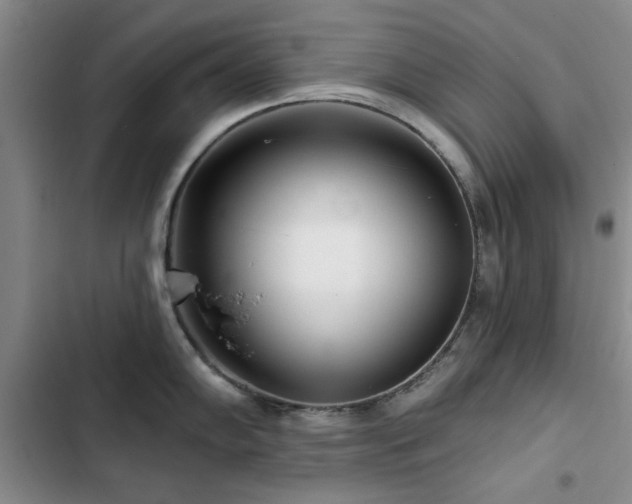 X0000102791102200808181254