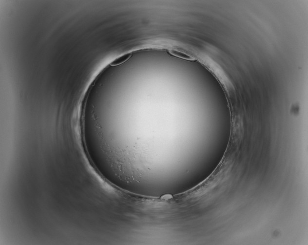 X0000102791103200808181254