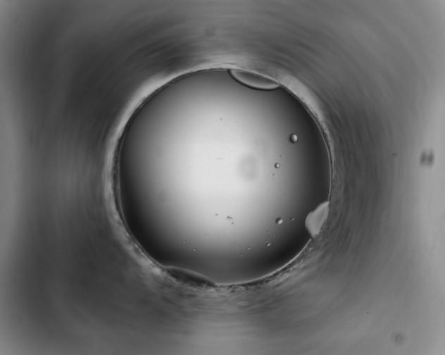 X0000102791104200808181254
