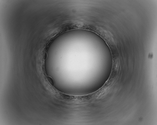 X0000102791105200808181253