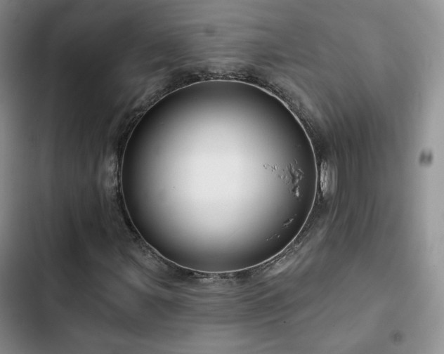 X0000102791107200808181253