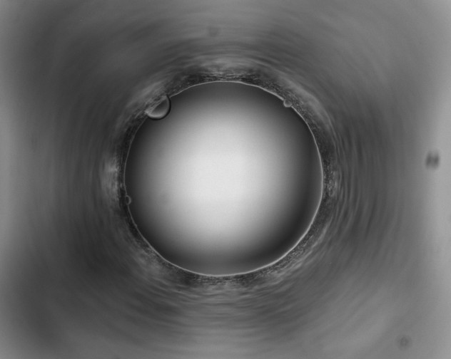 X0000102791108200808181253