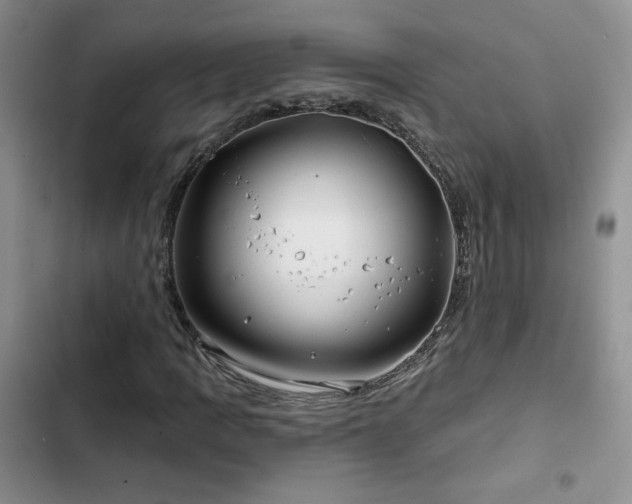 X0000102791109200808181253
