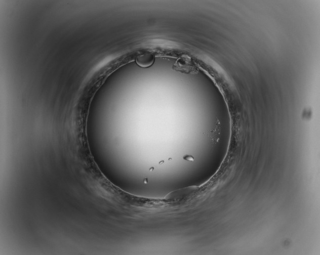 X0000102791112200808181253
