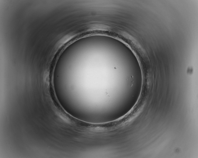 X0000102791113200808181253