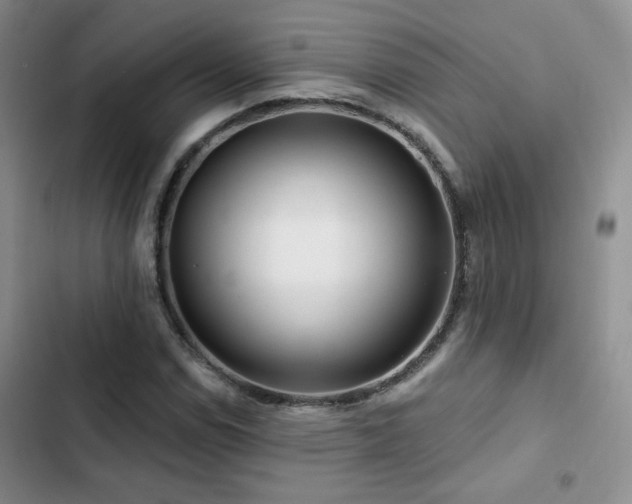 X0000102791114200808181253