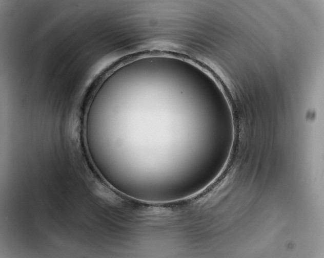 X0000102791115200808181253