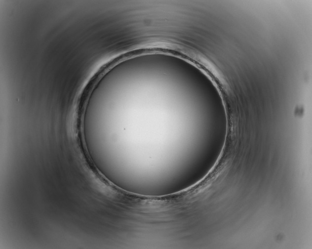 X0000102791116200808181253