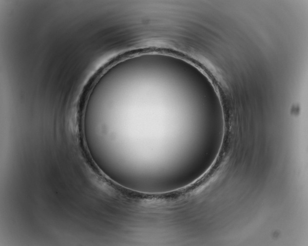X0000102791118200808181253