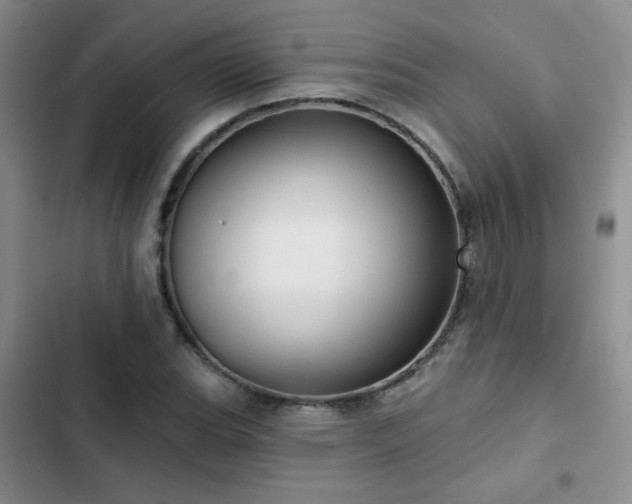 X0000102791119200808181253