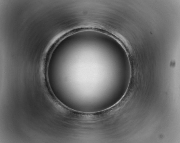 X0000102791120200808181253