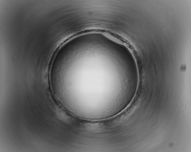 X0000102791121200808181253