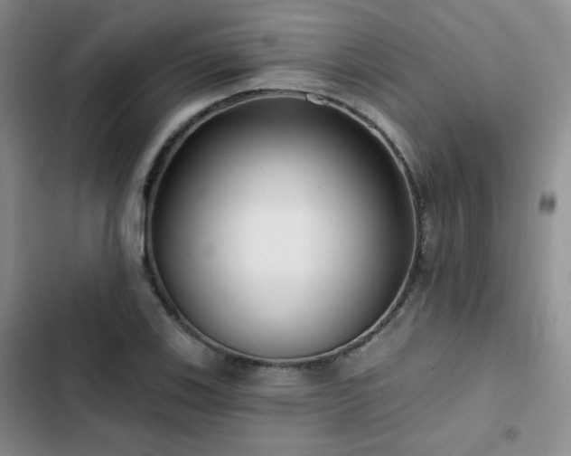 X0000102791123200808181253