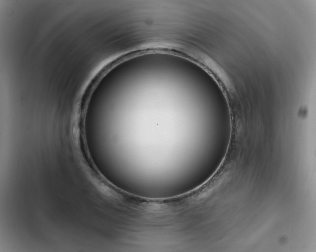 X0000102791124200808181253