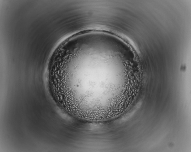 X0000102791125200808181253