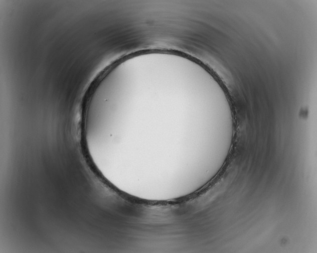 X0000102791126200808181253