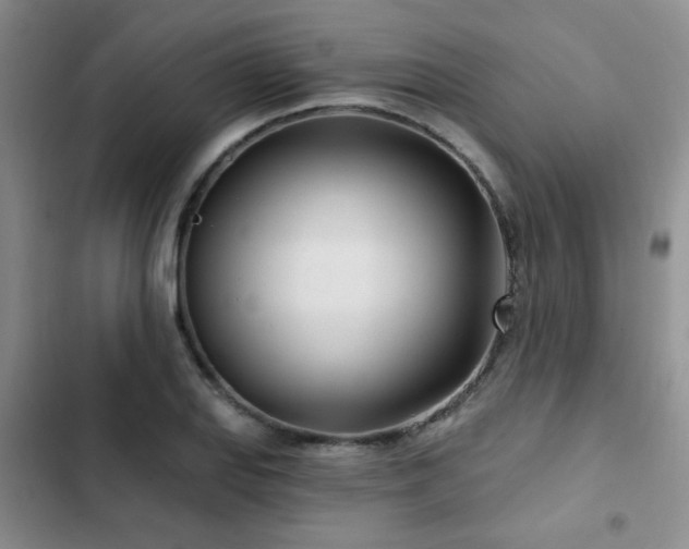 X0000102791127200808181253