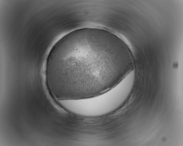 X0000102791128200808181253