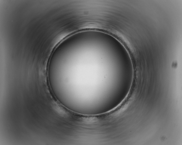 X0000102791129200808181253