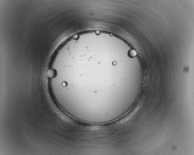 X0000102791130200808181253