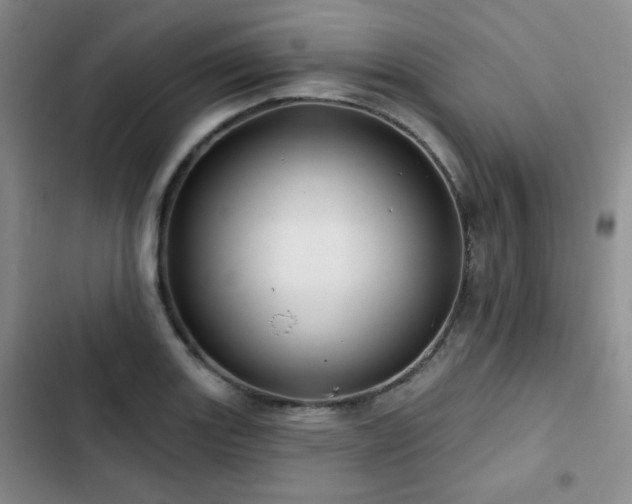 X0000102791131200808181253