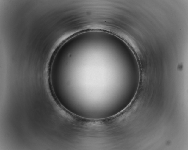 X0000102791133200808181253