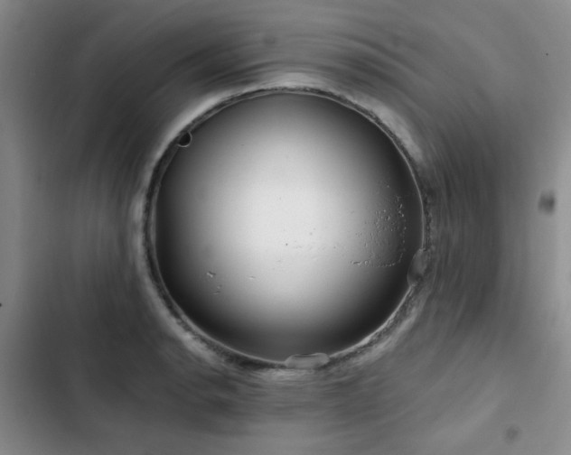 X0000102791134200808181253