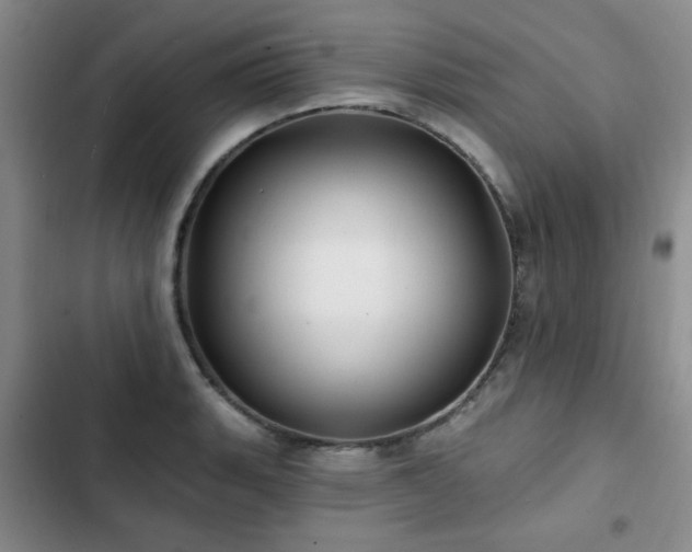 X0000102791135200808181253