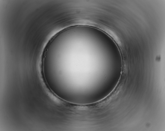 X0000102791136200808181253