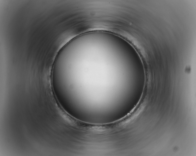 X0000102791137200808181253